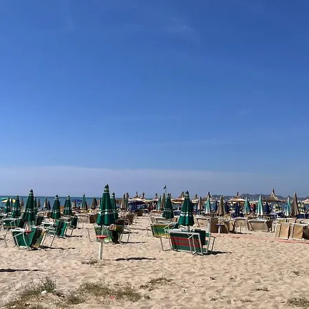 Marina Apartment *